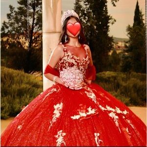 3D Floral Embroidered Quinceañera Dress by Morilee Madeline Gardner Vizcaya